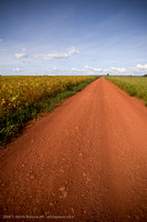 Cerrado_4628_AthilaBertoncini